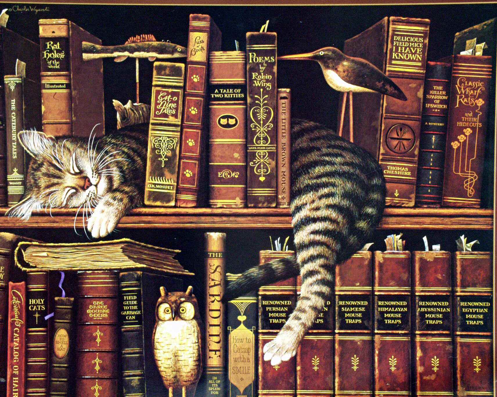 Buecher+mit+Katze 2
