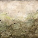 2021_08_28_Bilder_petra_Ebke_06